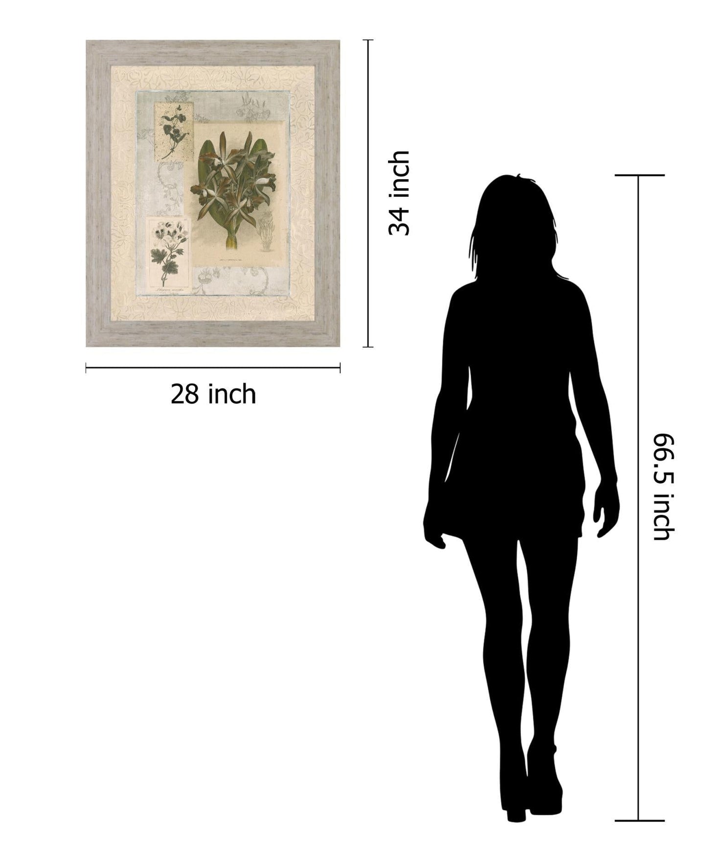 Vintage Botanical - 28" x 34" Framed Wall Art Classy Art