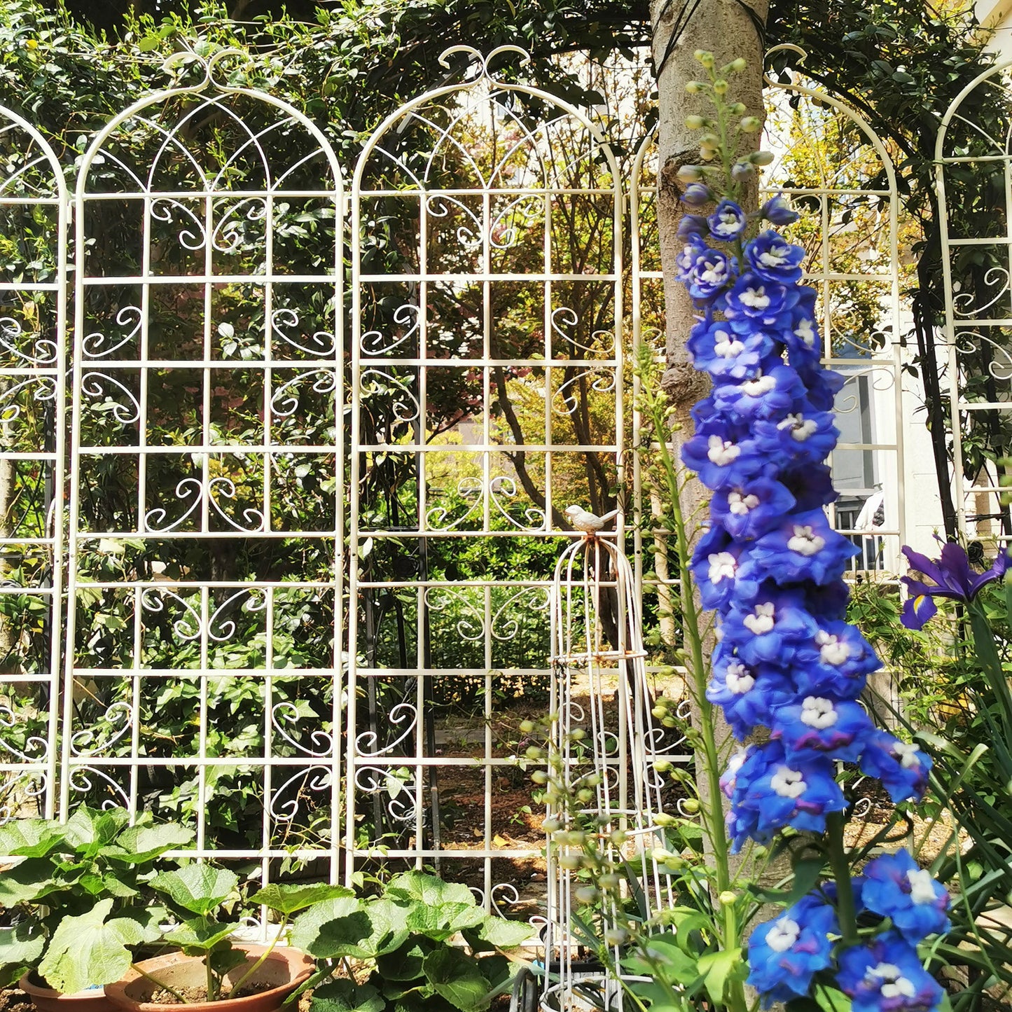 Metal Garden Rustproof Trellis For Climbing Plants Outdoor Flower Support Daily Nest