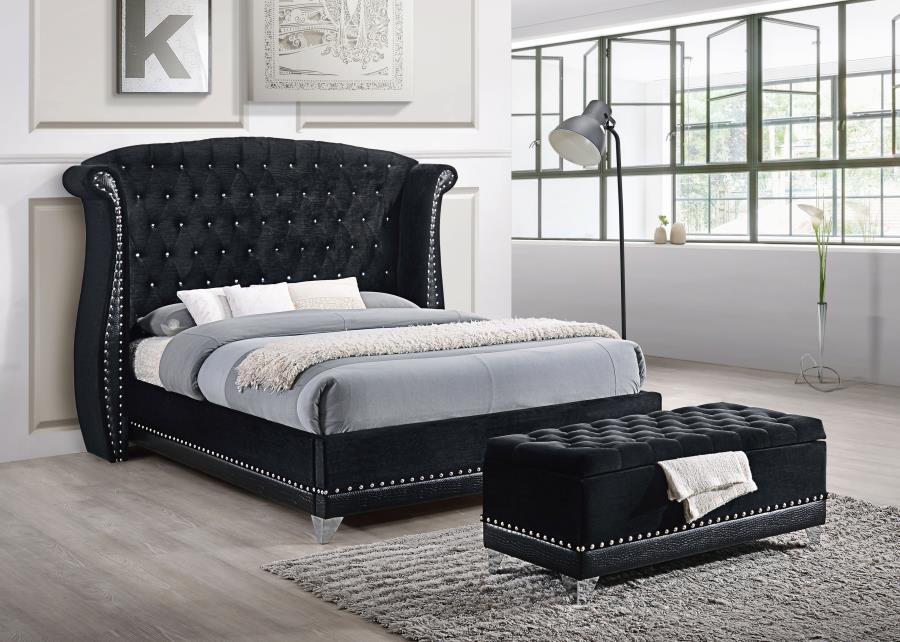 Barzini - Upholstered Wingback Bed CoasterElevations