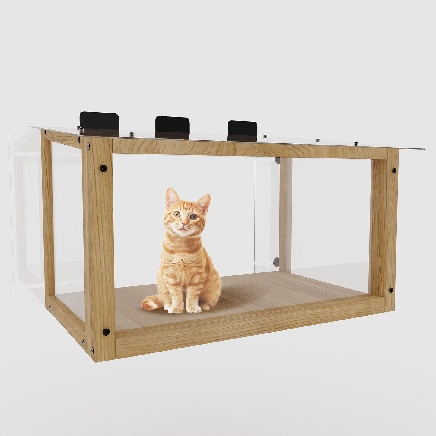 Transparent Acrylic Window Cat Perch Catio Cat Window Box - Natural Wood / Transparent Daily Nest