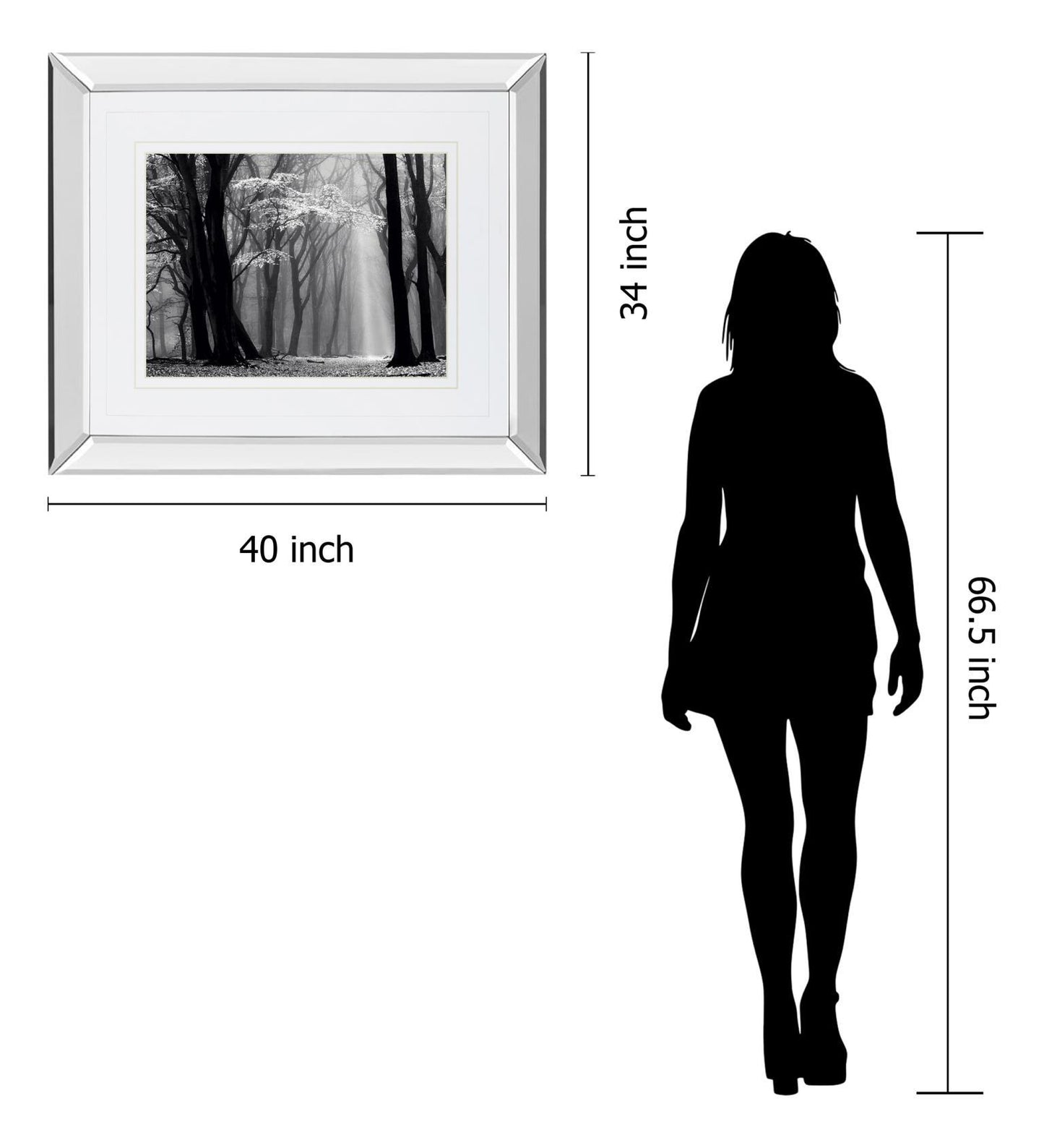 Winter Is Coming By Lars Van De Goor - Mirror Framed Print Wall Art - Black Classy Living