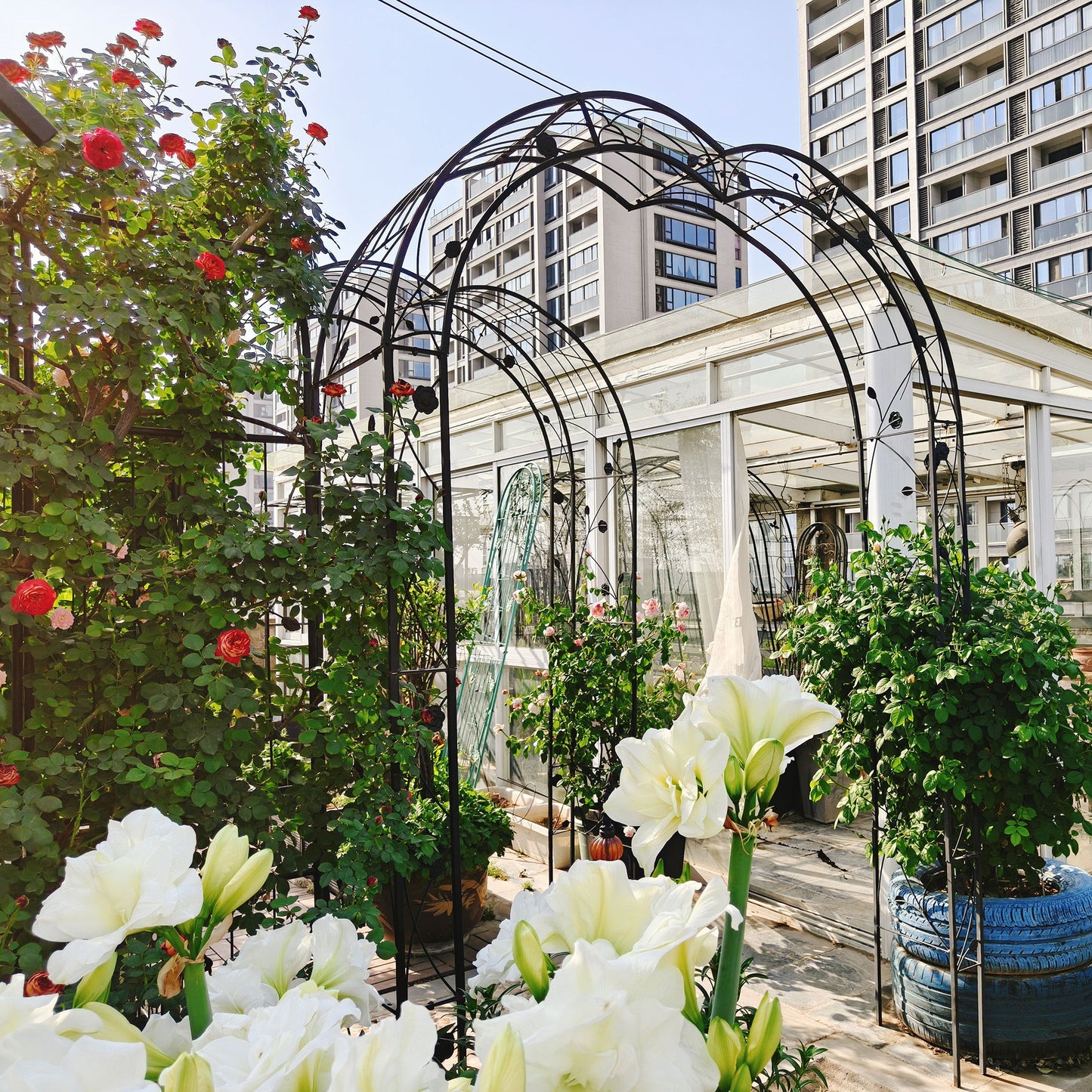 Metal Garden Arch Assemble Freely With 8 Styles Garden Arbor Trellis Climbing Plants Support Rose Arch Daily Nest