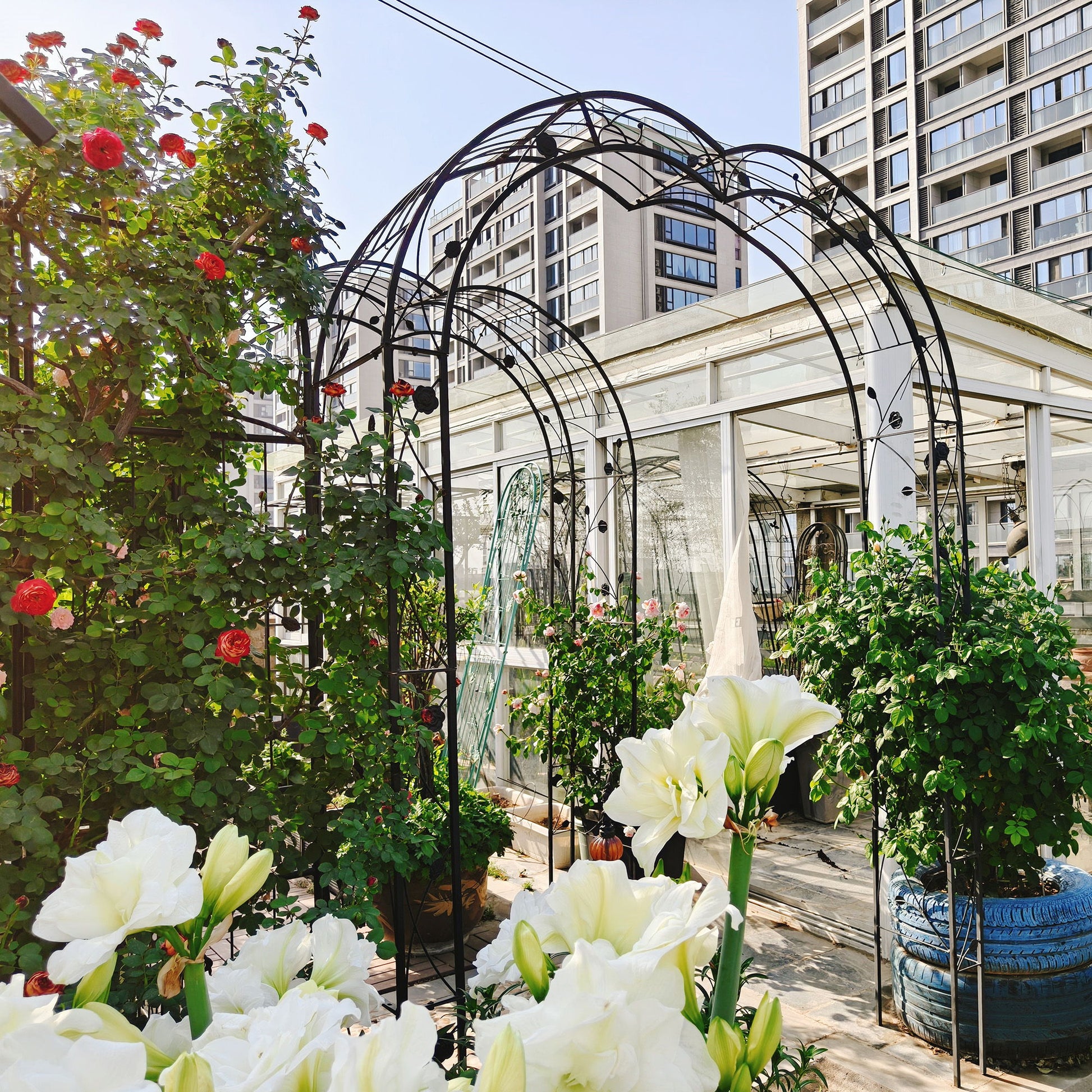 Metal Garden Arch Assemble Freely With 8 Styles Garden Arbor Trellis Climbing Plants Support Rose Arch Daily Nest