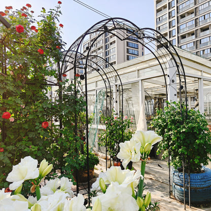 Metal Garden Arch Assemble Freely With 8 Styles Garden Arbor Trellis Climbing Plants Support Rose Arch Daily Nest