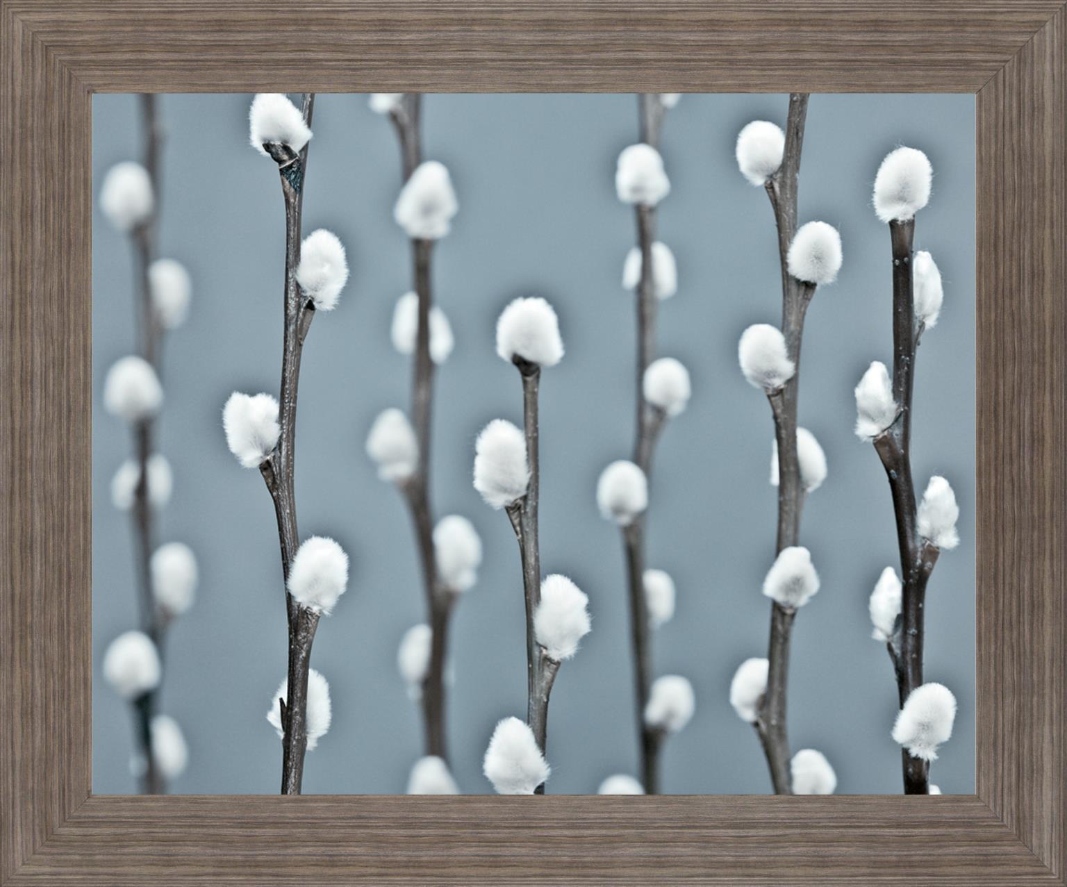 Winter Willow - 28" x 34" Framed Wall Art Classy Art