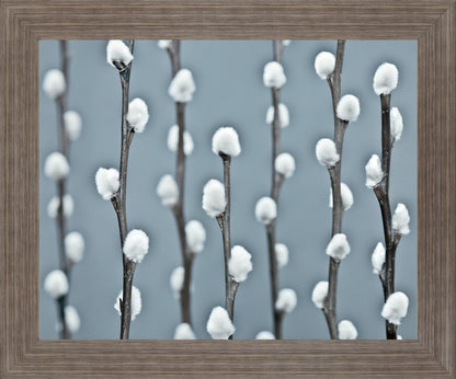 Winter Willow - 28" x 34" Framed Wall Art Classy Art