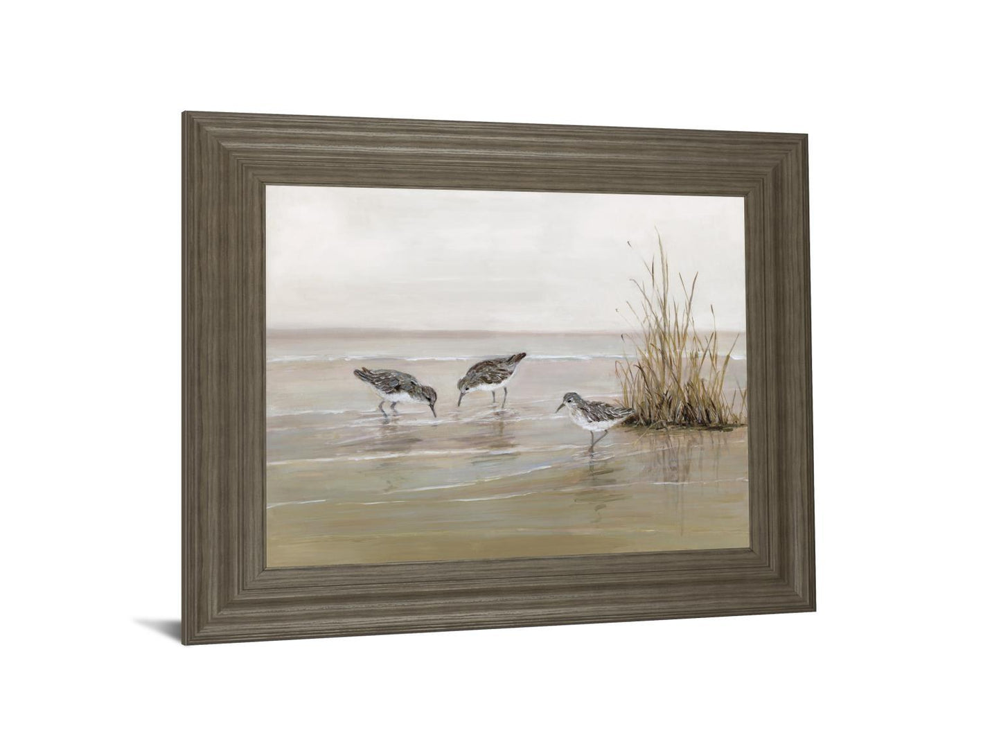 Early Risers Il By Sally Swatland - Framed Print Wall Art - Beige