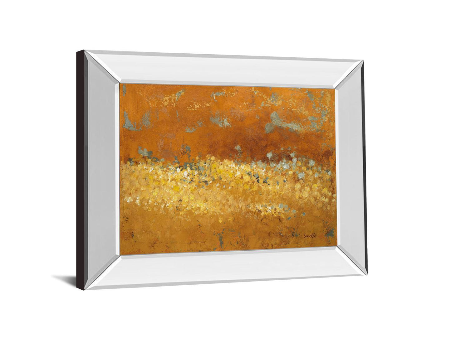 Flower Fields Il By Lanie Loreth - Mirror Framed Print Wall Art - Gold