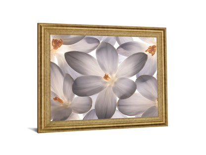 Whispering Blossom - 28" x 34" Framed Wall Art