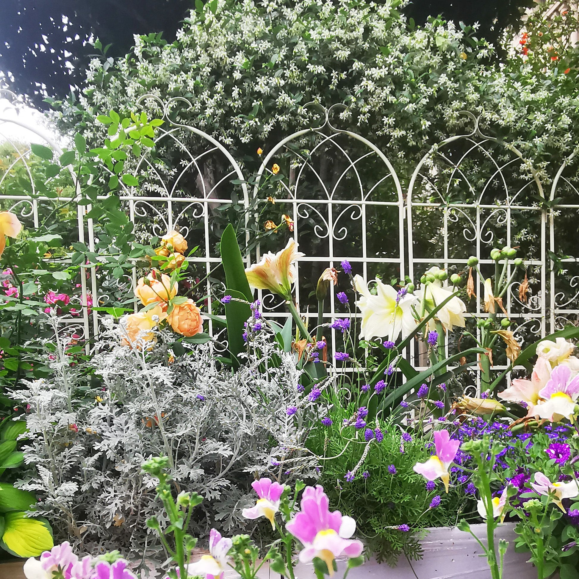 Metal Garden Rustproof Trellis For Climbing Plants Outdoor Flower Support Daily Nest