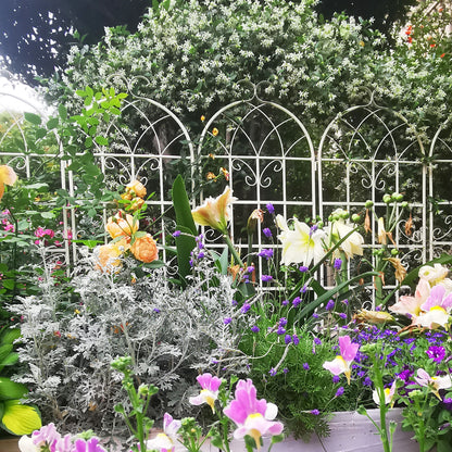 Metal Garden Rustproof Trellis For Climbing Plants Outdoor Flower Support Daily Nest