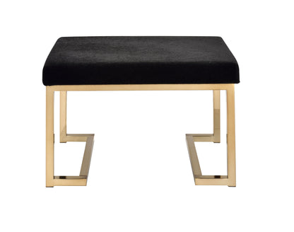 Boice - Ottoman - Black / Champagne Acme