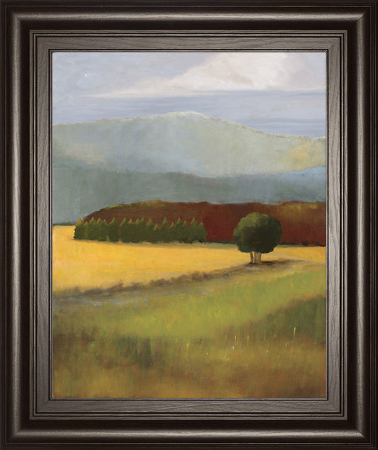 Field Of Gold By Judith D'agostino - Framed Print Wall Art - Green