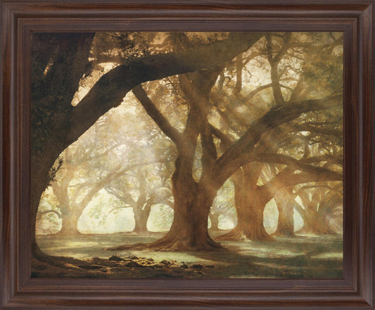 Sunlit Grove Serenity - 28" x 34" Framed Wall Art Classy Art