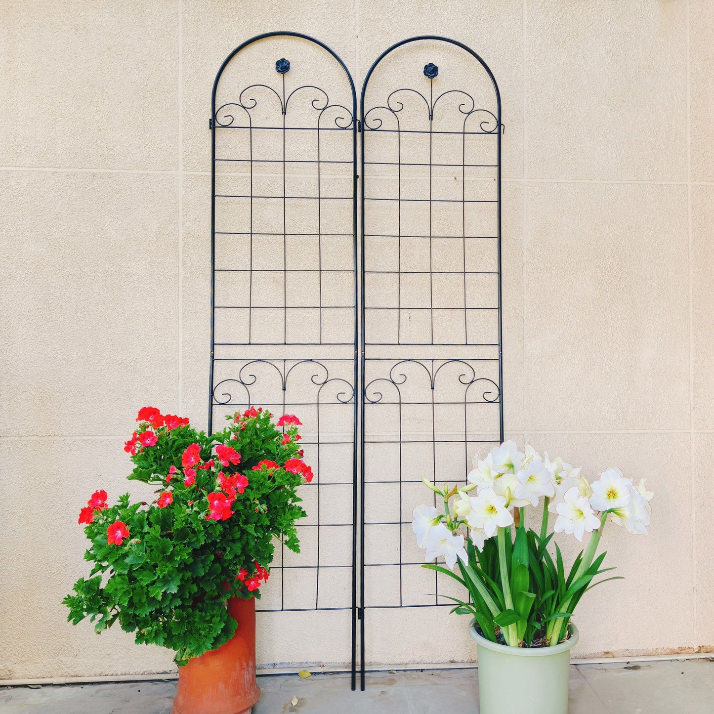 Metal Garden Trellis For Climbing Plants Outdoor Rustproof Plant Support Rose Trellis Netting Trellis Daily Nest