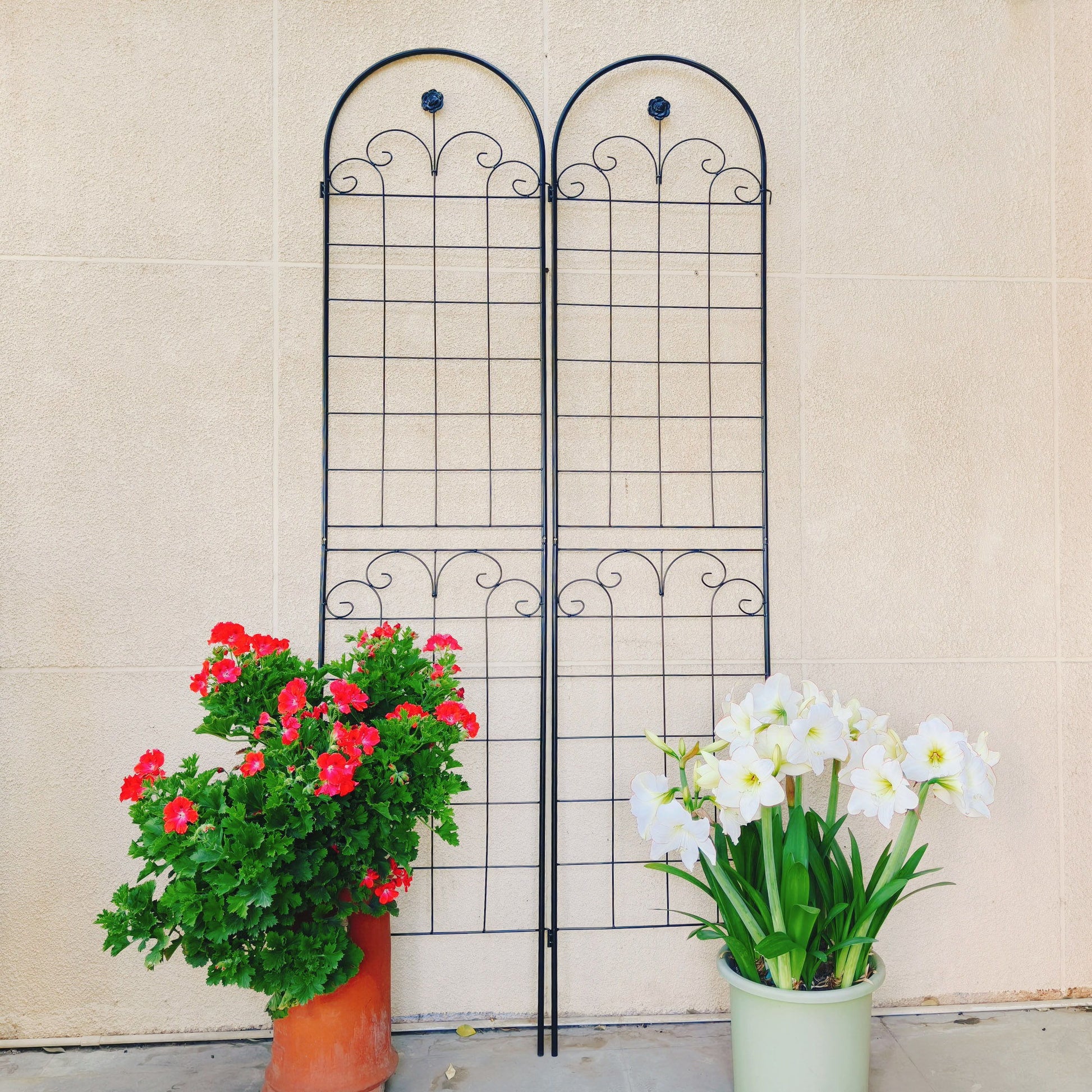 Metal Garden Trellis For Climbing Plants Outdoor Rustproof Plant Support Rose Trellis Netting Trellis Daily Nest
