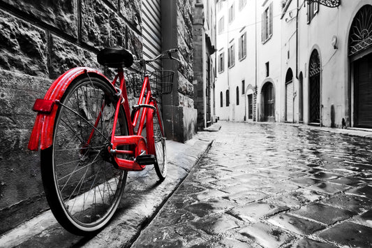 Small - Red Bicycle - Dark Gray