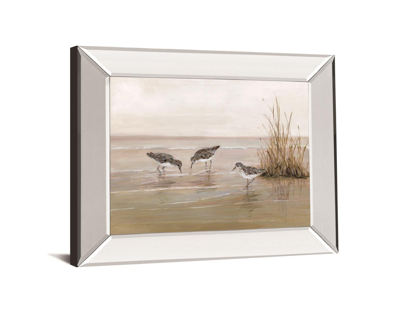 Early Risers Il By Sally Swatland - Mirror Framed Print Wall Art - Beige