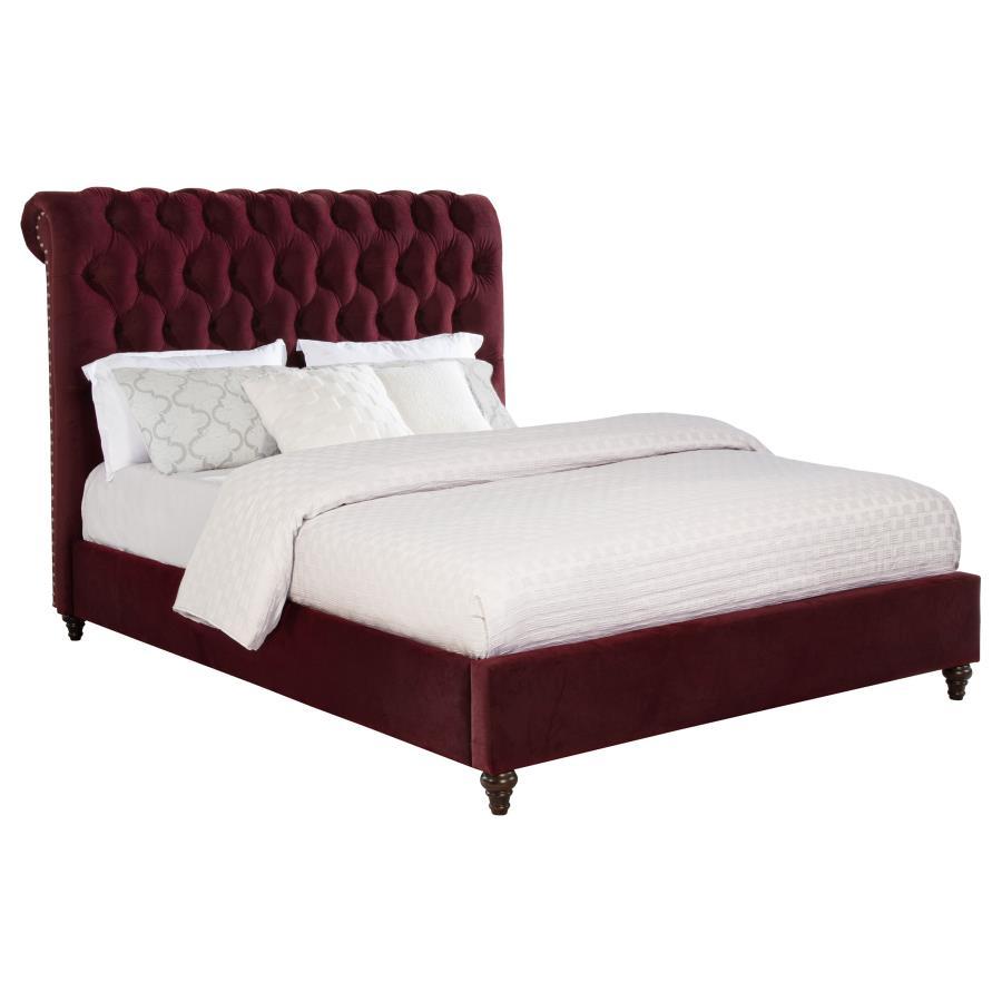 Devon - Upholstered Panel Bed CoasterEssence