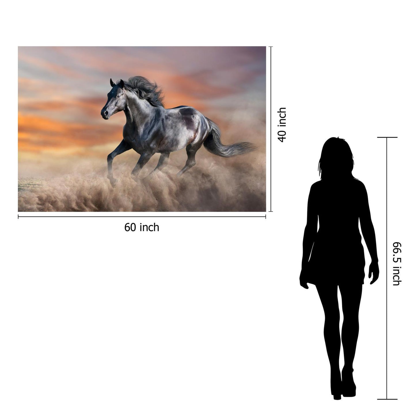 Tempered Glass With Foil - Running Horse - Dark Gray