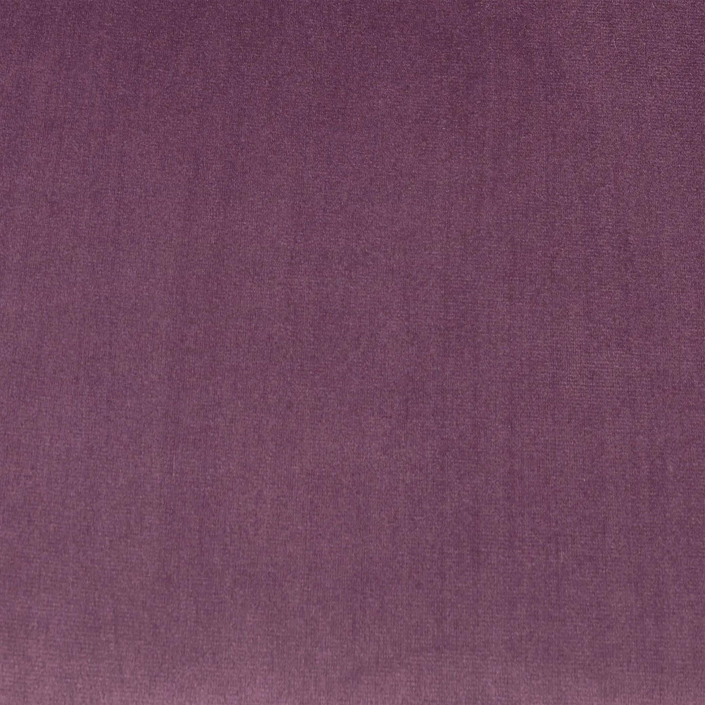 Elegant Curved Armrest Accent Armchair Noble House