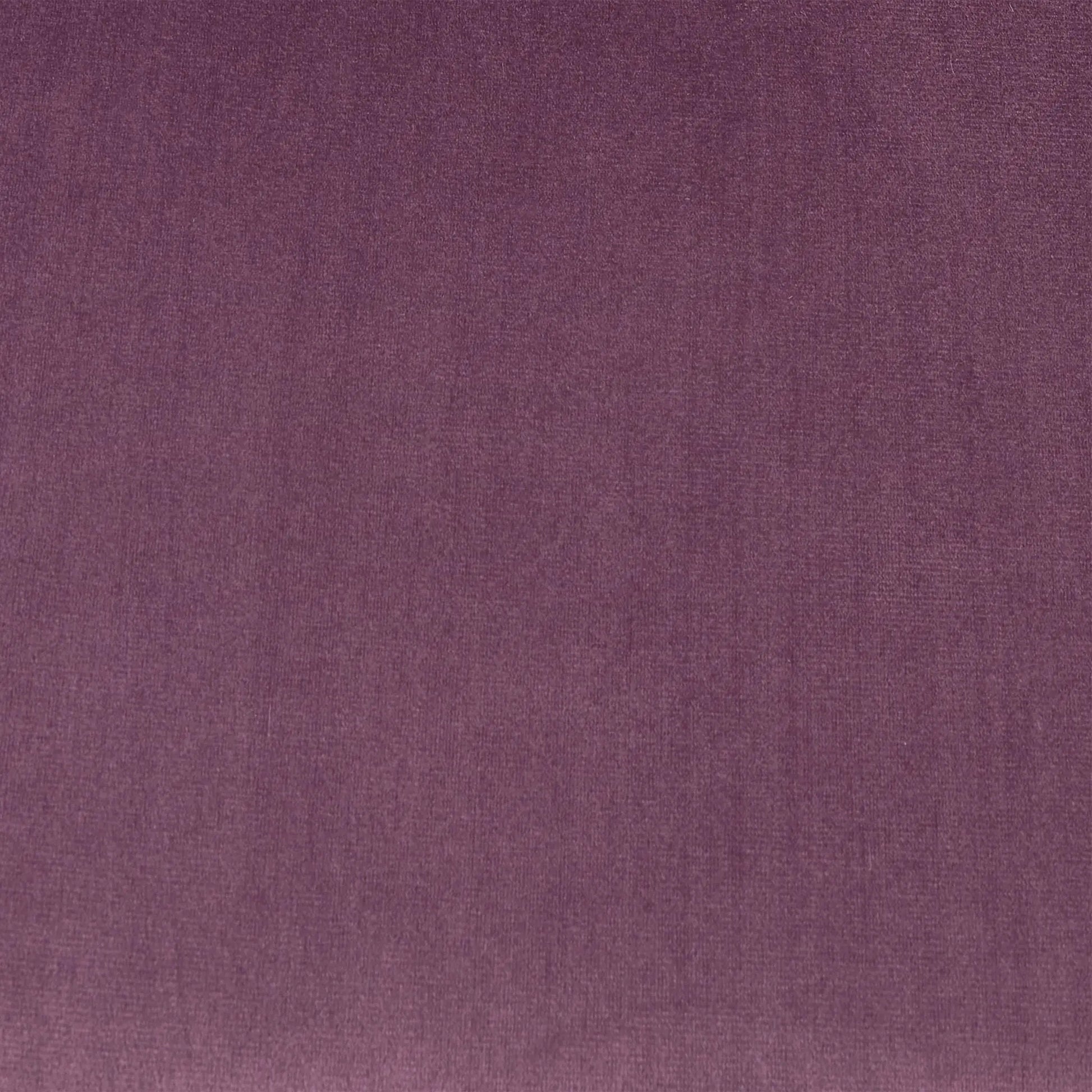 Elegant Curved Armrest Accent Armchair Noble House