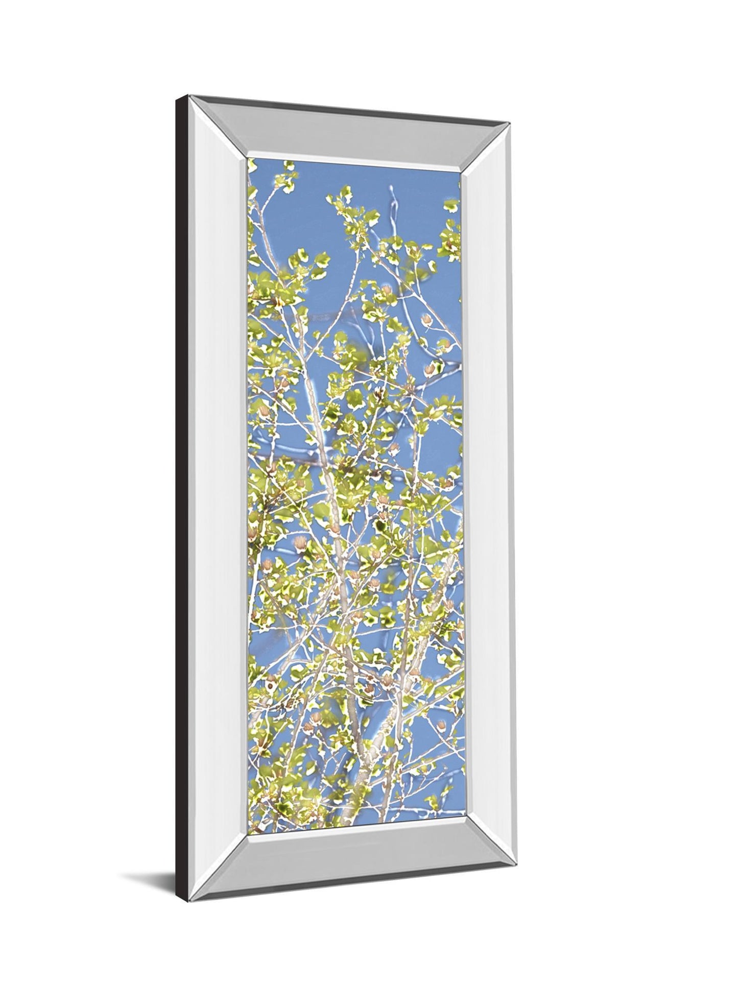 Spring Poplars Il By Sharon Chandler - Mirror Framed Print Wall Art - Green