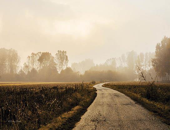 Country Road By Susan Ball - Light Brown