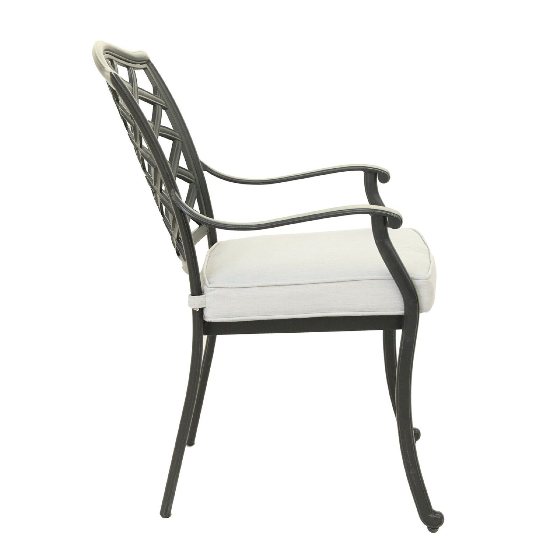 Dining Arm Chair (Set of 2) Home Essentials