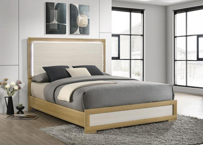 Hyland - Panel Bed LED Headboard Coaster Fine Furniture