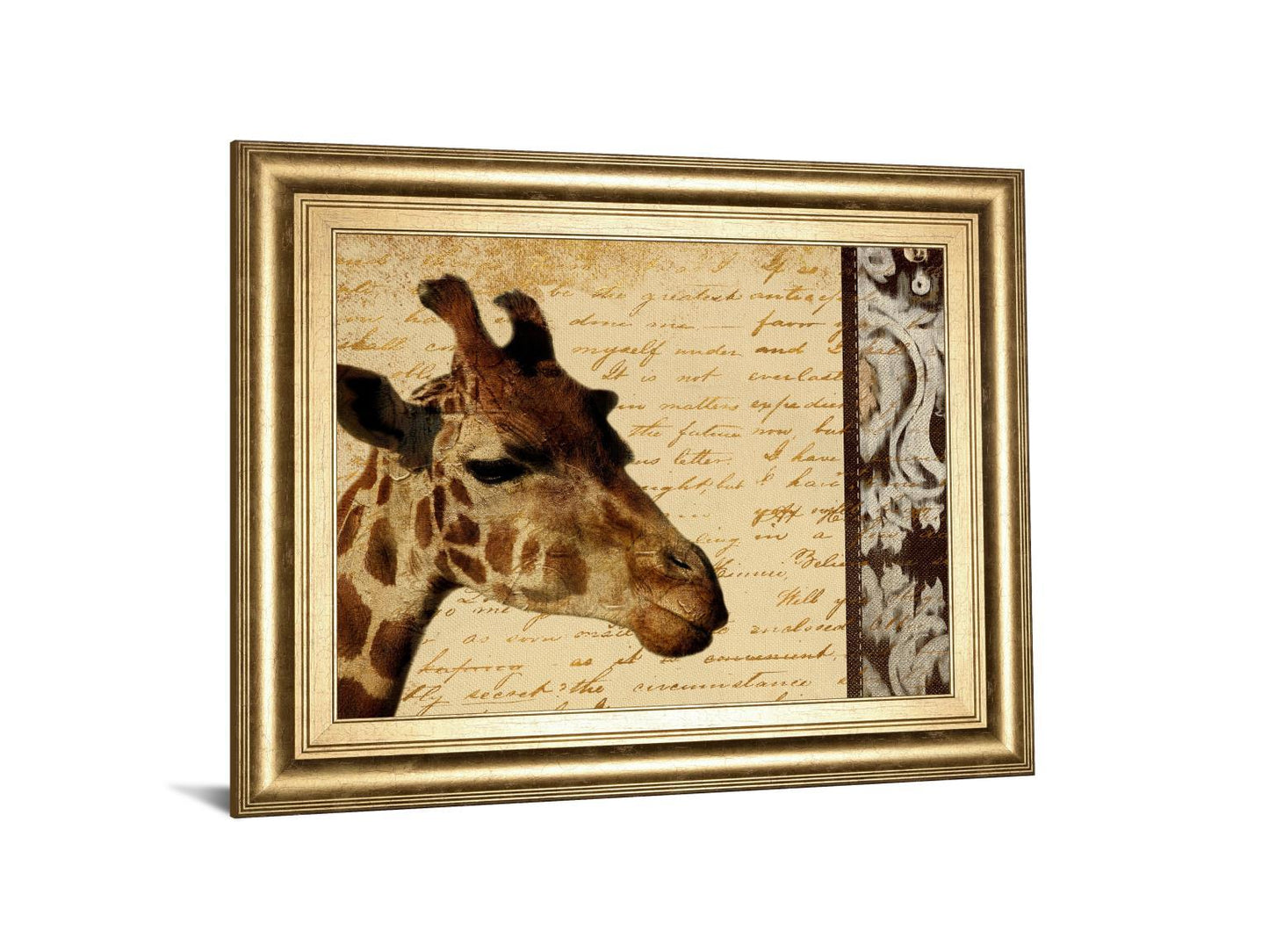 Madagascar Safari I By Patricia Pinto - Framed Print Wall Art - Beige