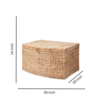 Rectangular Curve Water Hyacinth Woven Wicker Trunk With Handles For Clothes Toys Magazines And Book Storage - Natural / Light Brown Daily Nest