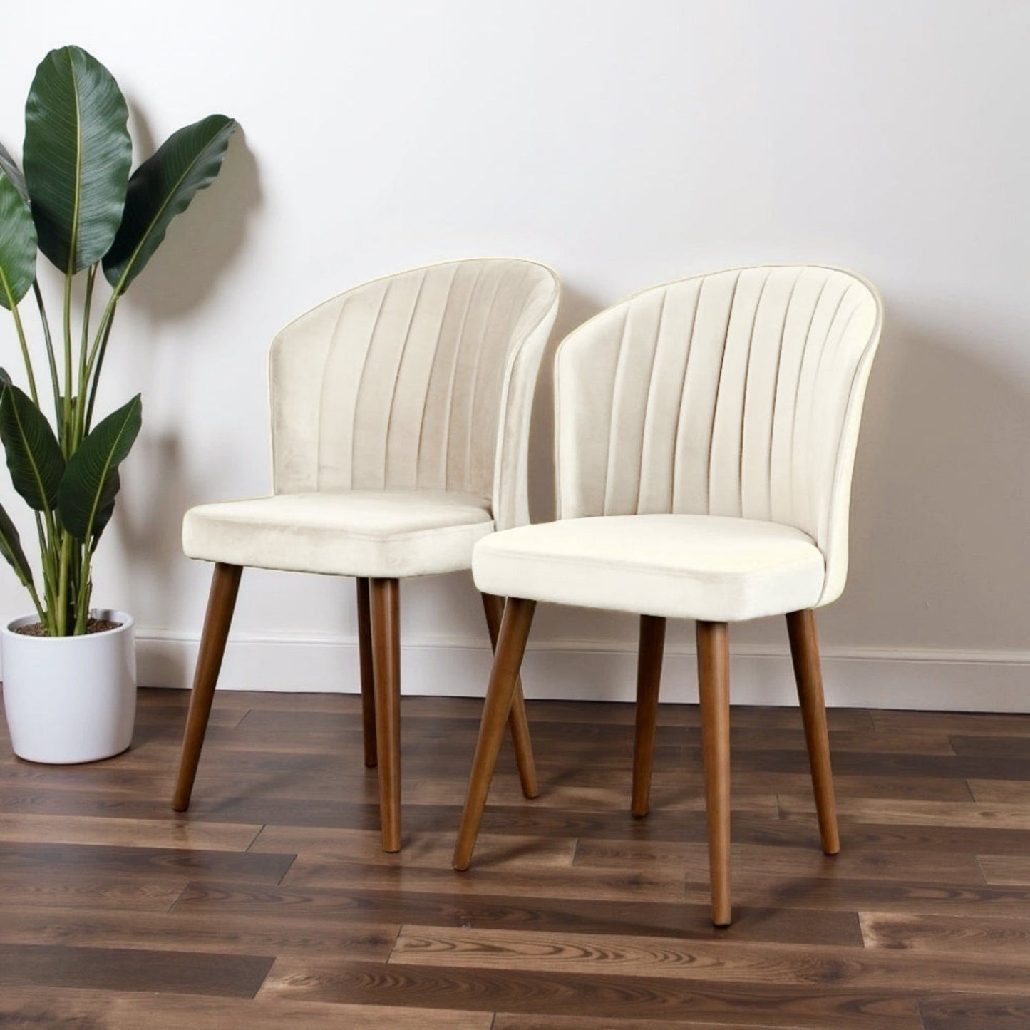 Parsons - Comfortable Dining Chair (Set of 2) Ashcroft Furniture