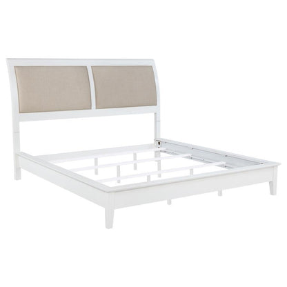 Bexhill - 56" Upholstered Panel Bed Coaster Fine Furniture
