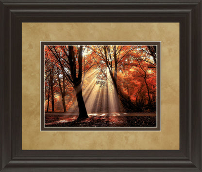 Dressed To Shine By Lars Van De Goor - Framed Print Wall Art - Red