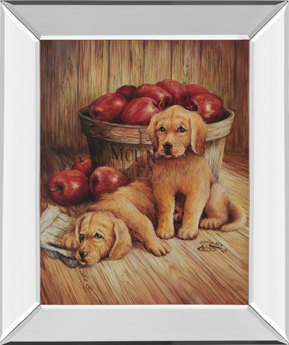 Yellow Labs - Mirror Framed Print Wall Art - Dark Brown