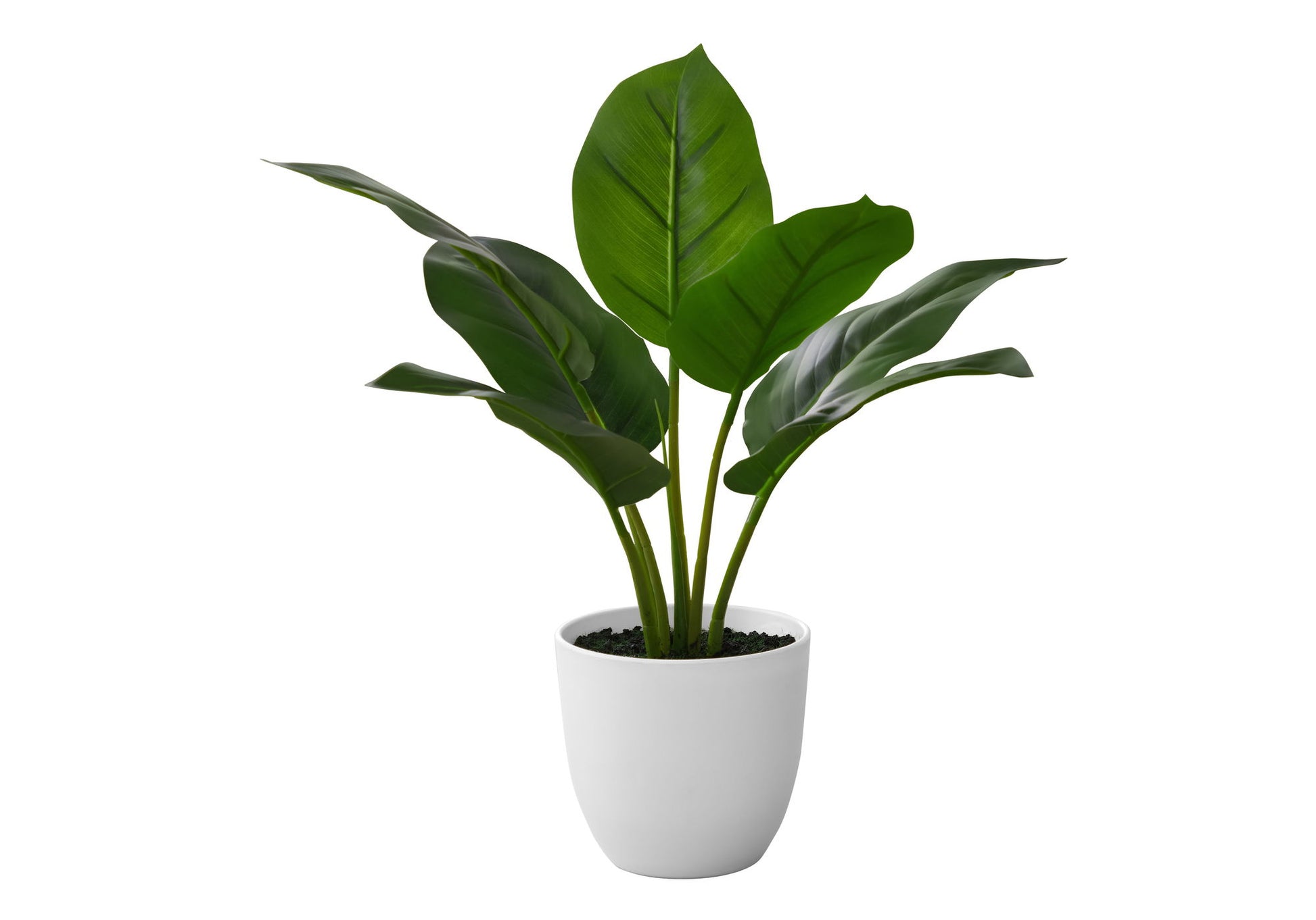 17" Tall, Artificial Plant, Aureum, Indoor, Faux, Fake, Table, Greenery, Potted, Real Touch, Decorative - Green / White 8th Street