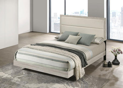 Trenton - Wood Panel Bed Coaster Fine Furniture