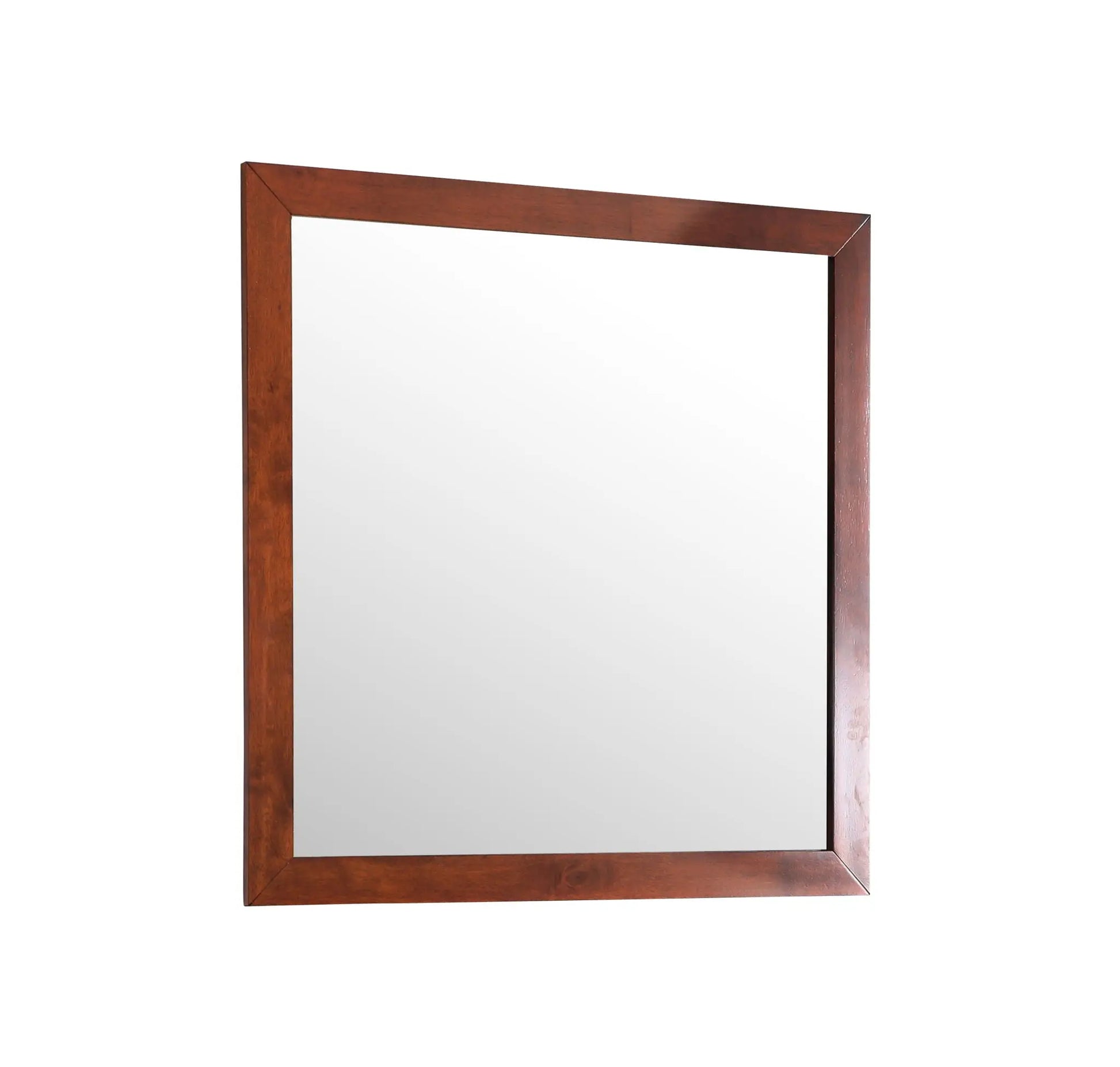 Burlington - Modern Design Transitional Wall Mirror Glory Furniture