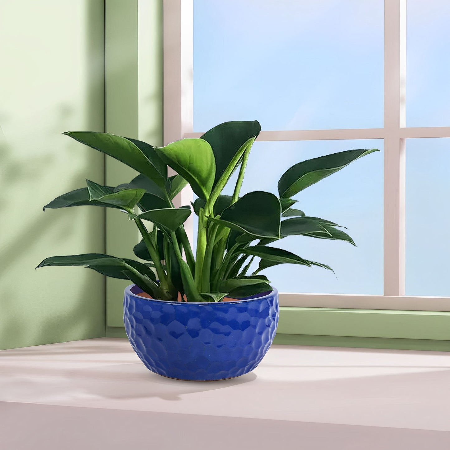 3 Pieces Ceramic Flowerpot Daily Nest