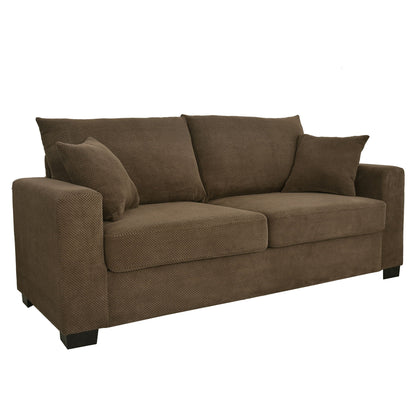 2 Seater Sofa, 2 Throw Pillows For Living Room Home Essentials