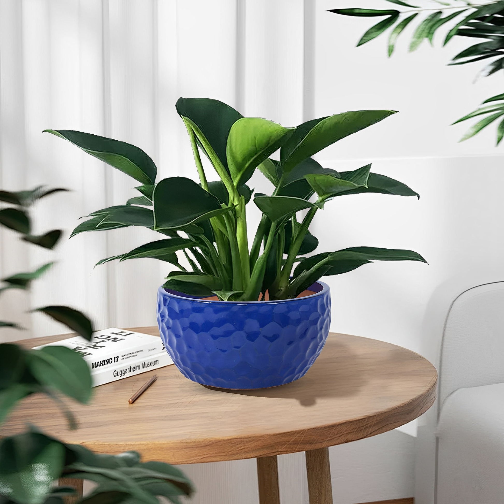 3 Pieces Ceramic Flowerpot Daily Nest