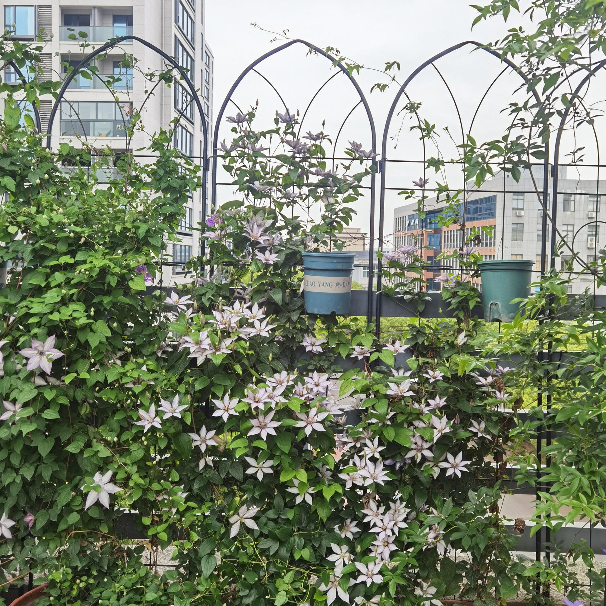 Metal Garden Trellis Rustproof Trellis For Climbing Plant, Outdoor Flower Support Daily Nest