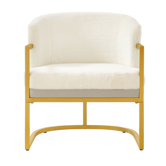 Upholstered Reading Accent Armchair For Living Room Noble House