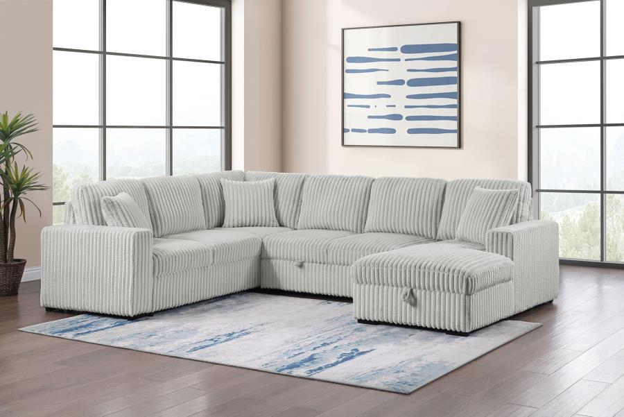 Devonshire - Sleeper Sectional Sofa Storage Chaise Coaster Fine Furniture