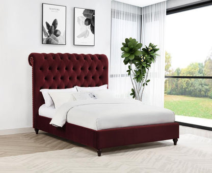 Devon - Upholstered Panel Bed CoasterEssence