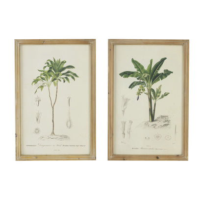 Tree Framed Print (Set of 2) - Multicolor Daily Nest