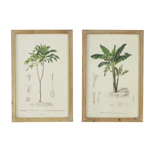 Tree Framed Print (Set of 2) - Multicolor Daily Nest