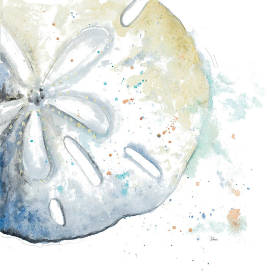 Water Sand Dollarpatriciapinto - Light Blue Classy Living