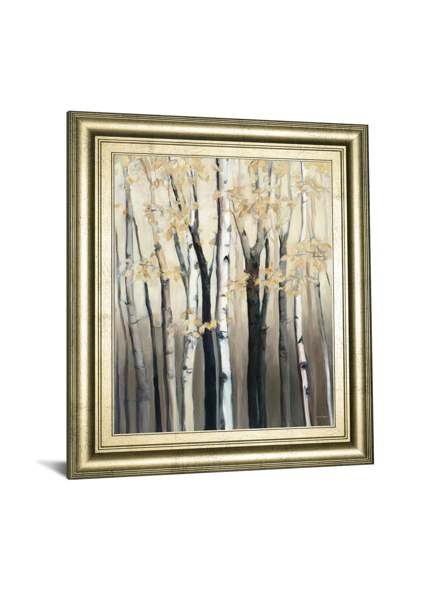 Golden Birch I By Julia Purinton - Framed Print Wall Art - Dark Gray